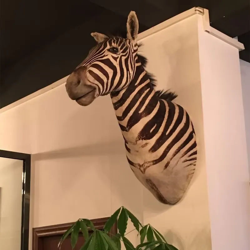 Scultura da Parete di Animali  - Home Office Background recensione e prezzo