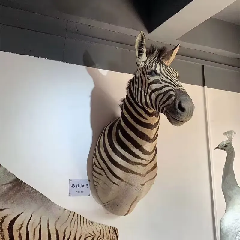 Scultura da Parete di Animali  - Home Office Background recensione e prezzo