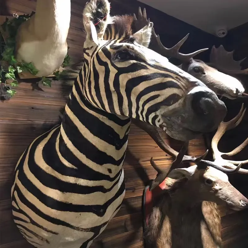 Scultura da Parete di Animali  - Home Office Background recensione e prezzo