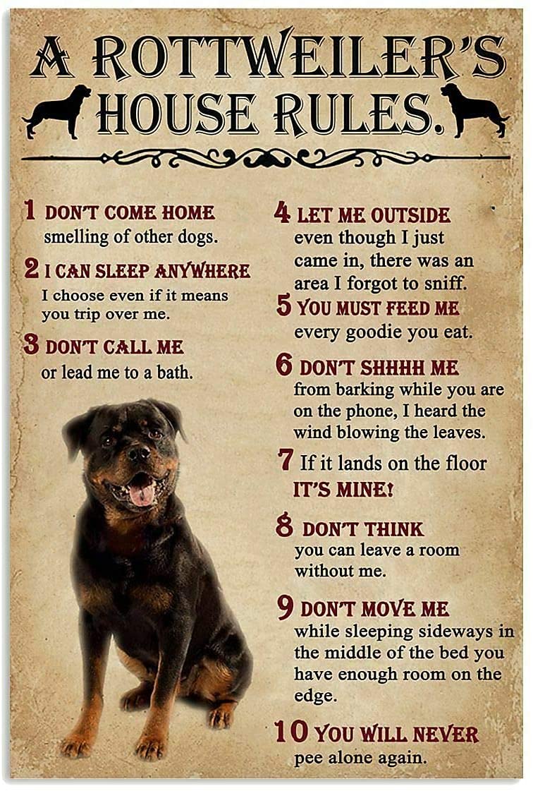 Regole di Casa del Rottweiler  - Home Office New Rules recensione e prezzo